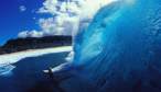 Wave.jpg