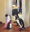 Penguin.jpg