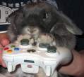 Play time.jpg