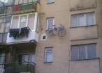 Hanging.jpg