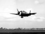 P-47D_Thunderbolt_.jpg