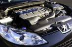 407-feline-v6hdi.jpg