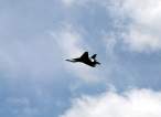 MiG 29 Cenej1Jun08 3ds.jpg