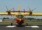 F-ZBFP...jpg
