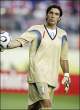 p1_buffon_1026.jpg