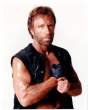 Click to enlarge chuck-norris-0021.jpg