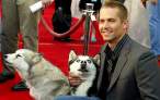 15167__paulwalker_l.jpg