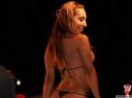 11503.jpg