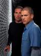 wentworth-miller2.jpg