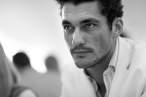 Gandy (9).jpg