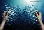 fish book.jpg