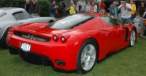Enzo 1.JPG