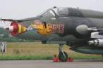 Poljski Su 22.jpg