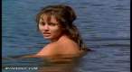 toad_0056_bobbie_phillips-cheyenne-01.jpg