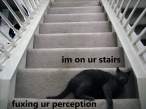 fuxing-ur-perception-2.jpg