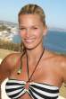 natasha_henstridge_bikini_boost_3_big.jpg