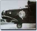 b24_shark_124.jpg