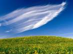 Clouds Sweeping, Springtime Blossoms.jpg