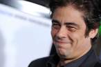 81101a1_del_toro_b-gr_12.jpg