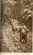 Treca Krajiska brigada,Sujeska,7.juni 1943.jpg
