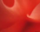 abstract_flower_2.jpg