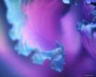 blue_petals.jpg