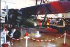 museo3-001.jpg