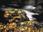River_Rock.jpg