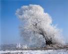 beautiful winter landscape_17.jpg