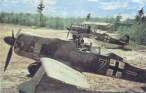 Focke Wulf Fw190A-5 en Finlande sm.jpg