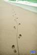 ByTheWay-P6 (89).jpg