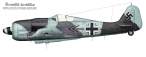 Fw190A-8-JG2--2-sevron.jpg