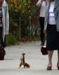 Squirrel.jpg