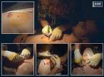 chest-1.jpg