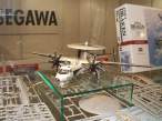 hasegawa_09_of_30.jpg