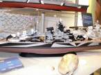 revell_21_of_47.jpg