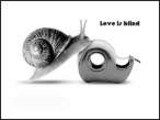 Love is Blind.jpg