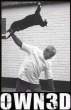 cat-owned.jpg