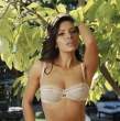 Sarah_Shahi-02.jpeg