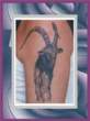 tat 10.jpg