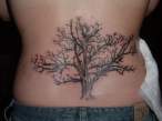 dead_tree_tattoo.jpg