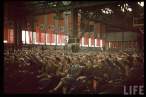 Image00258.jpeg