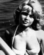 th_05927_bardot_gallery_22_123_915lo.jpg