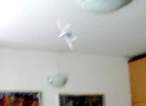 Stir2 let6 16d2sm.jpg