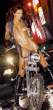Adrianne_Curry-Playboy2.jpg