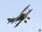 spad9.jpg
