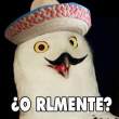 O Rlmente.jpg