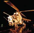 Hind.5.JPG