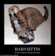 funny-pictures-cat-hates-babysitting.jpg