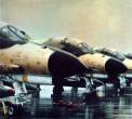 IIAFF-4E.jpg